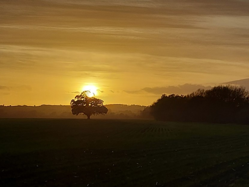 Fownhope - KT from Bath
